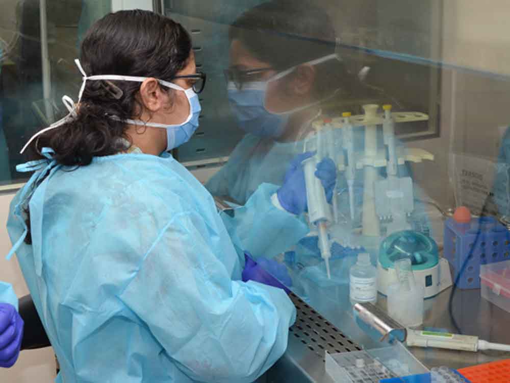 19 Percent of all Sample of UK Returnees Tested in 10 Labs Have New Virus
