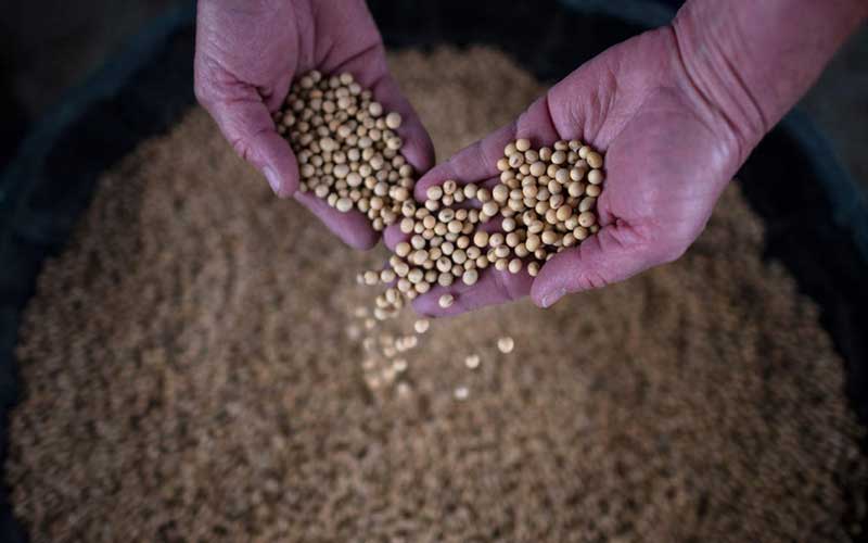 MP has reversed its order prohibiting the selling of soybean seeds
