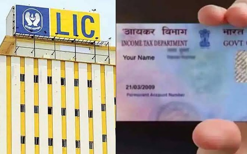 Big update on LIC IPO, Government to reduce its valuation
