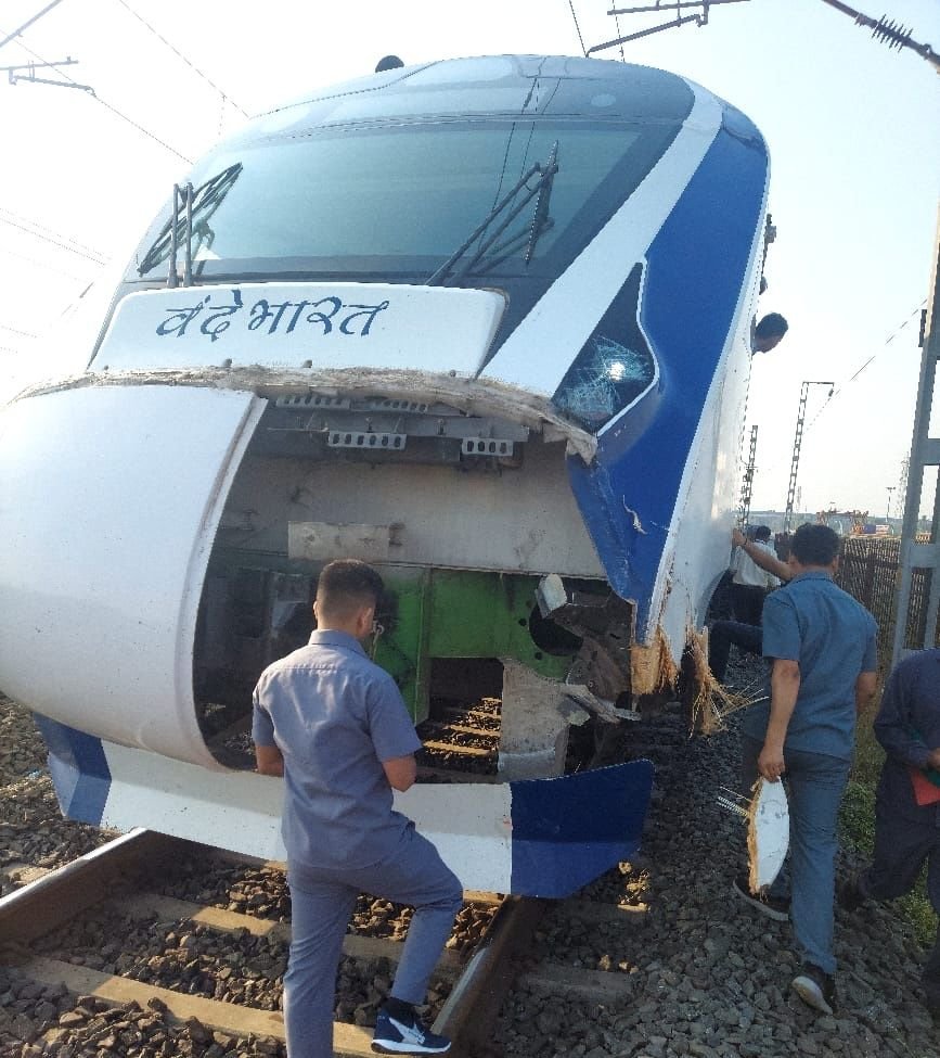  Cattle Runover incident with passing Vande Bharat Express Train at Gujarat's Atul Railway Station