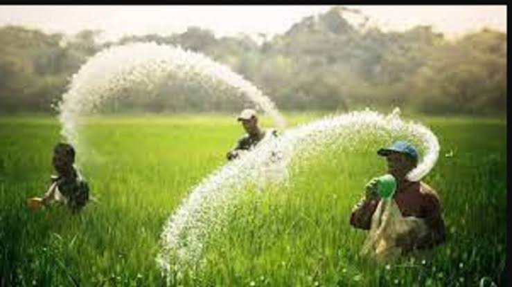 Central government gave big relief to farmers, said- no proposal to reduce subsidy on fertilizers
