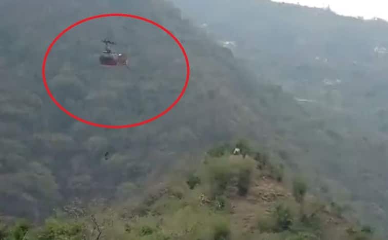 11 people trapped in Timber Trail ropeway in Himachal: Cable car stuck midway for 5 hours, Everyone Rescued 