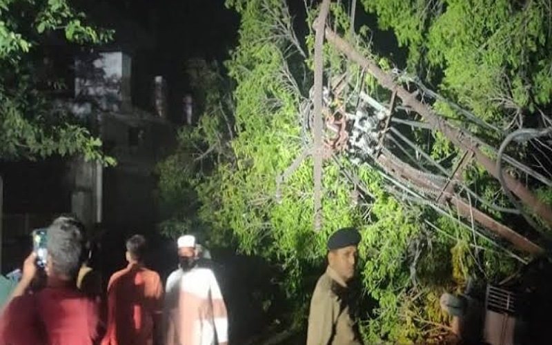 Trees fell due to storm in Tanakpur of Champawat, two died