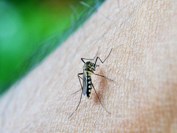 CMO assures Zika Virus case tally in Uttar Pradesh’s Kanpur reaches 10