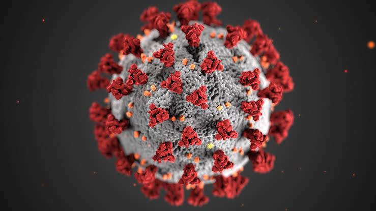 Omicron's new sub-variant in Delhi is 20 to 30 percent more infectious