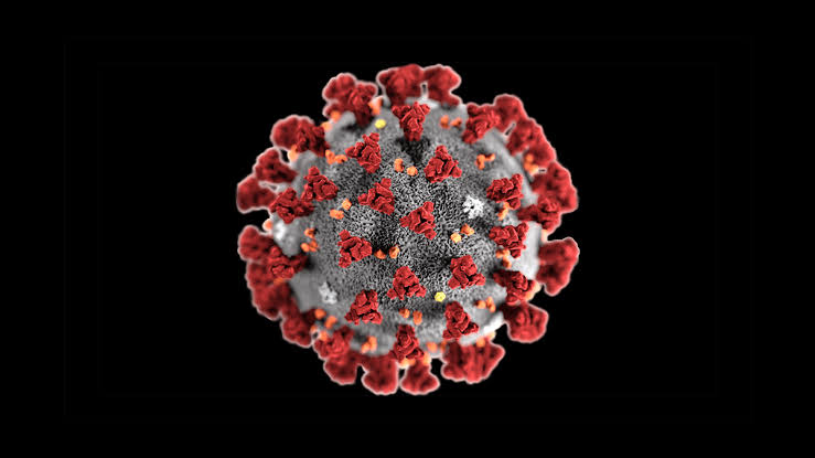 Children aged 5 to 11 are three times more likely to have corona than adults, vaccine is the only defense