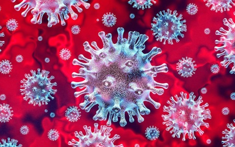 After Maharashtra, now new XE variant of corona virus knocked in Gujarat too