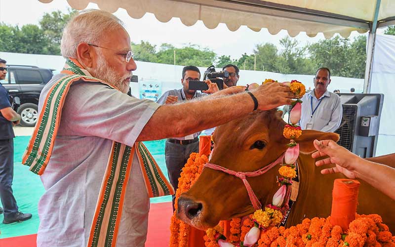 PM Modi’s message to people who make fun of cow-buffalo 