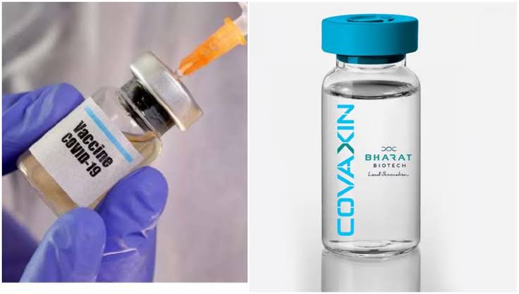 I can't cut corners, I have to make sure it's safe and effective ': WHO on Covaxin approval
