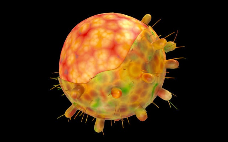 Covid 19 updates : India alerts from the wave of Omicron in China