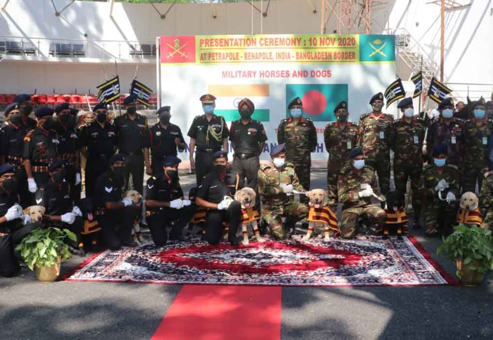 India gifted 20 fully trained military horses and 10 mine detection dogs to Bangladesh