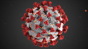 2 more new cases of Omicron in Delhi, 10 people infected so far