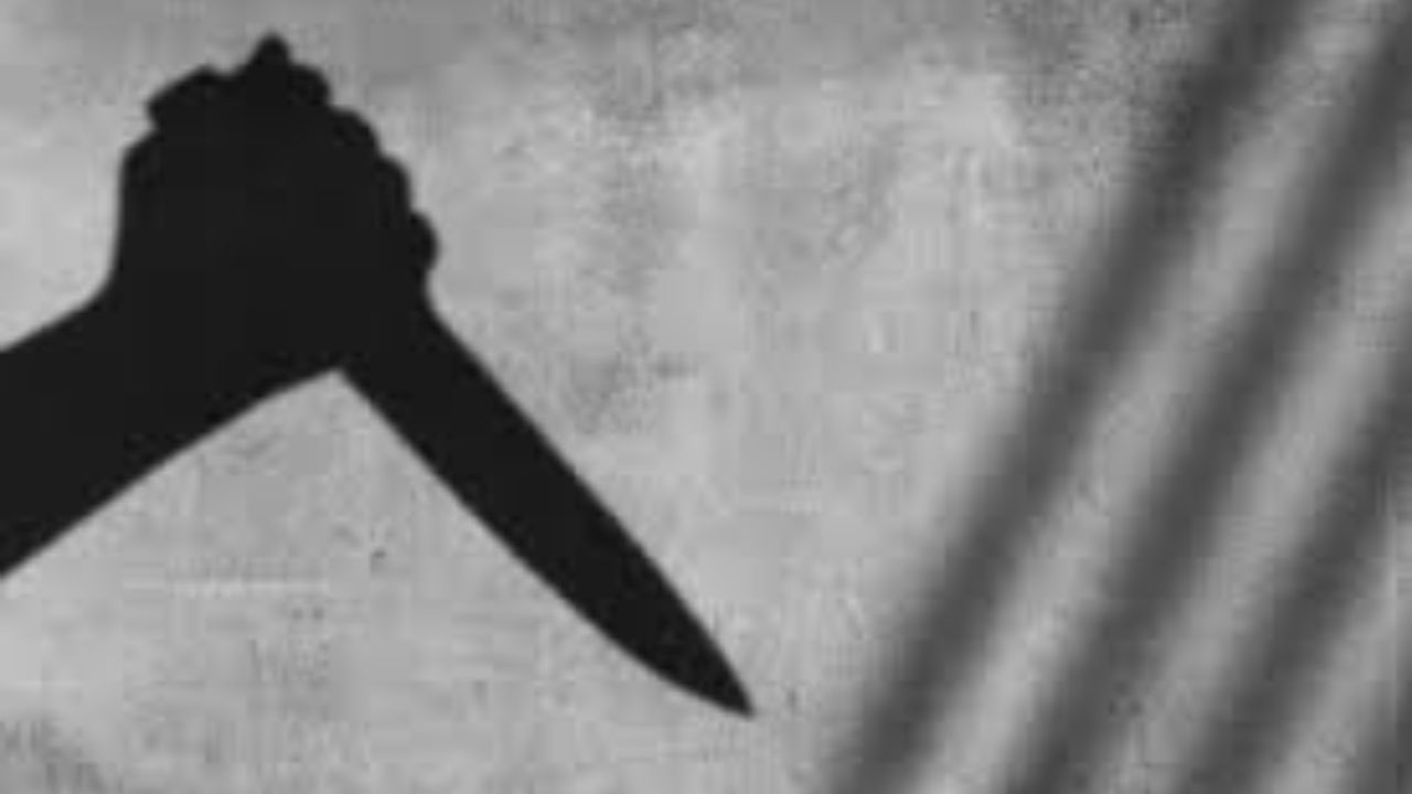 Haryana: Private School Principal Stabbed to Death by Two Teenage Students in hisar