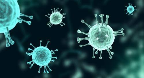 Covid 19 News: Weird guidelines of the Government of India regarding testing amid the third wave of Corona
