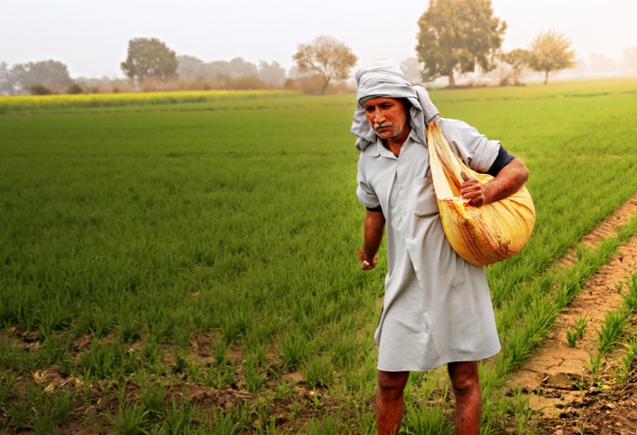 Fertiliser rising costs are unlikely to be rollback as Centre holds current subsidy rates