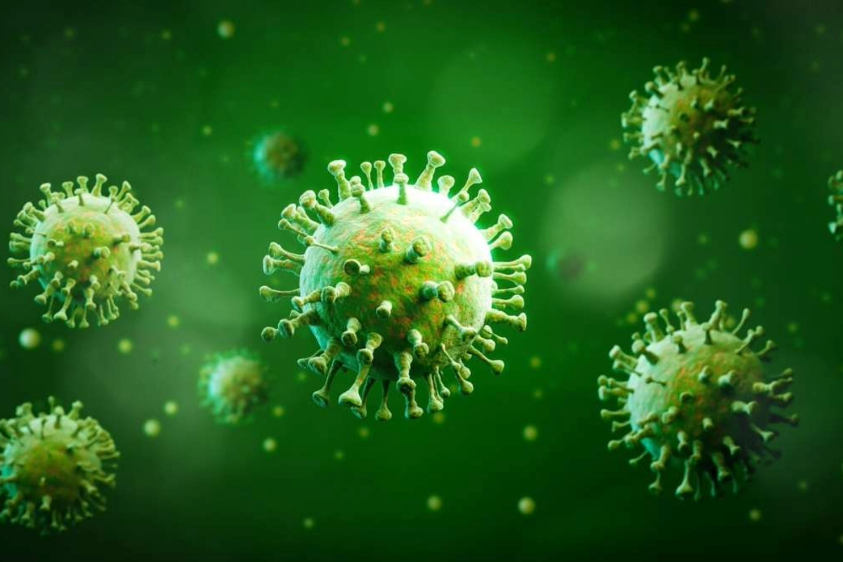 What is Chandipura Virus: Transmission, Symptoms, and Prevention how it spreads to the body