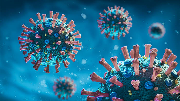The number of Omicron infected increased to 804, Delhi has the highest number of 238 cases