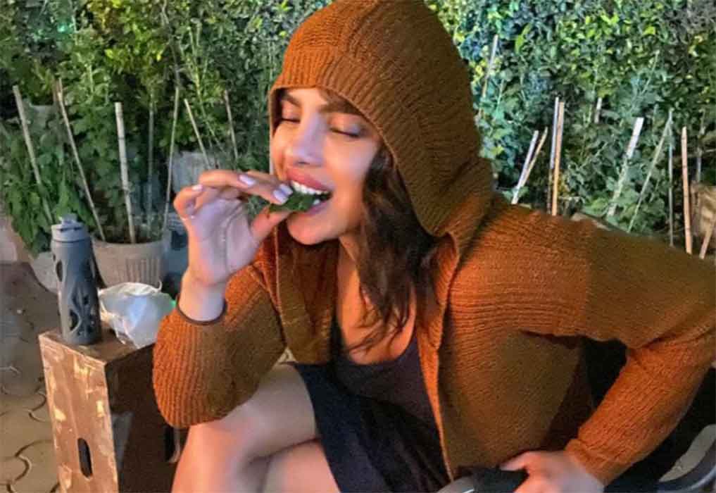 Priyanka Chopra-starrer ‘The White Tiger’ premieres at Netflix after Delhi HC refuses to pass a stay order