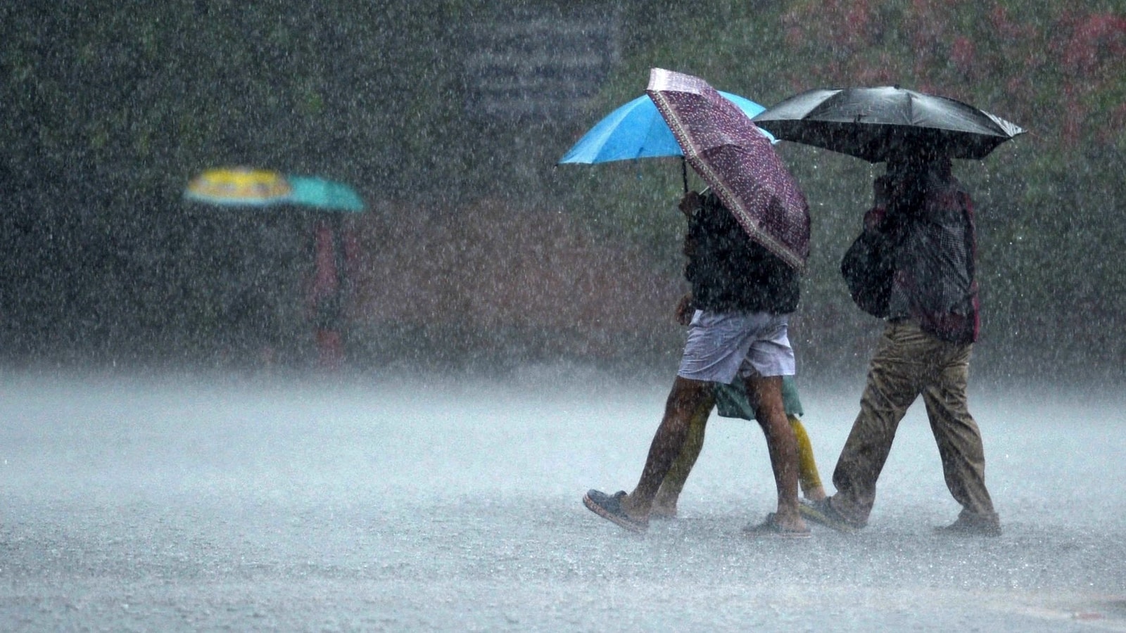65 killed in Gujarat due to rain: Roads submerged in Ahmedabad, Red Alert in 6 districts