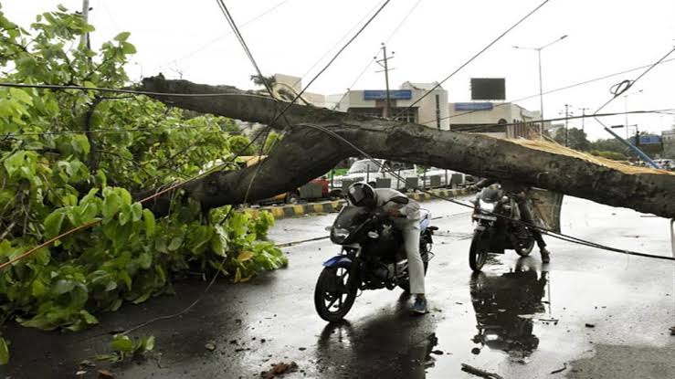 25 killed in Bihar due to rain, wind speed 60KM per hour