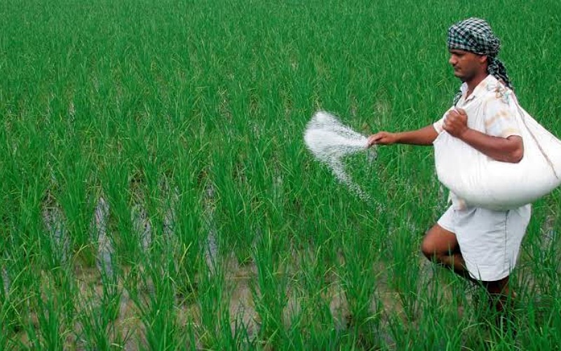 Subsidy on fertilizers may be 2.5 lakh crores 