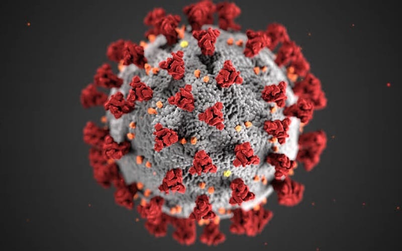 Too early to declare victory against the virus: WHO