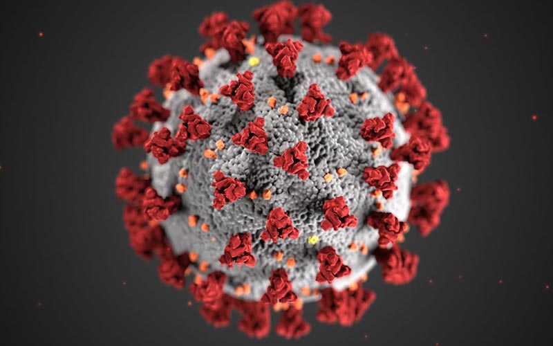 Study published in Foreign Journal claiming higher COVID-19 deaths in India is speculative: Health Ministry