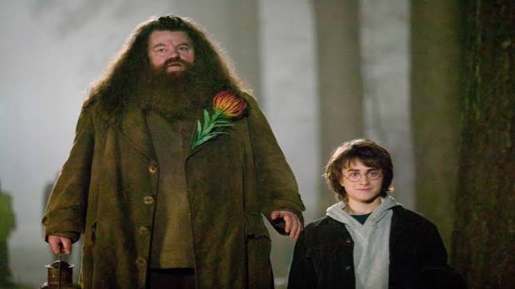 Robbie Coltrane Death: Harry Potter's 'Hagrid' dies after prolonged illness