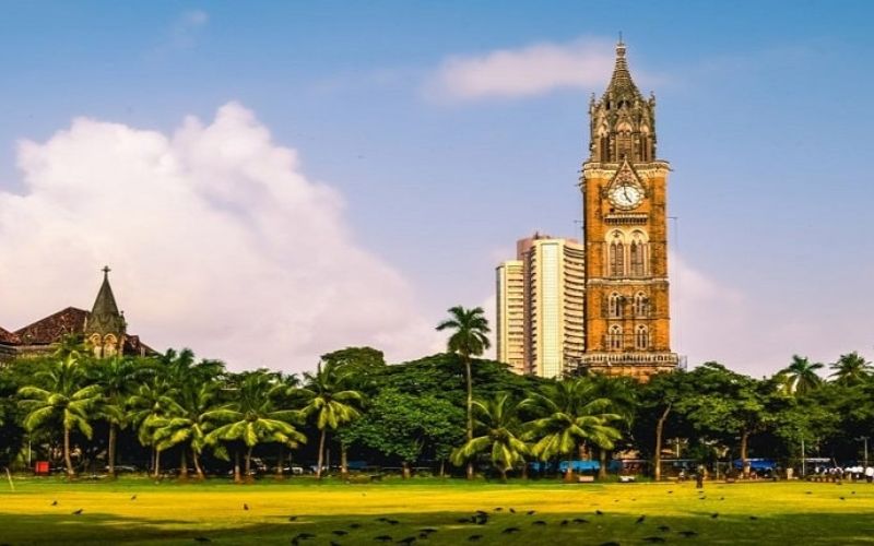 Mumbai University UG Admission 2024 Registration Begins, Steps to Apply