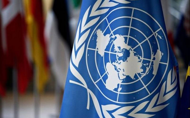 ''Stop Arms Flows In Myanmar'': UN Calls On Member States