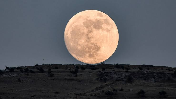 Supermoon will be visible tonight, the moon will come near the earth today