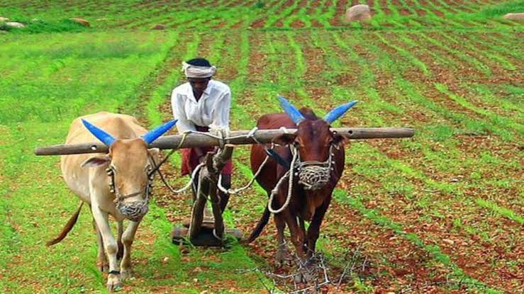 More than 10 crore farmers will get the benefit of 21,000 crore