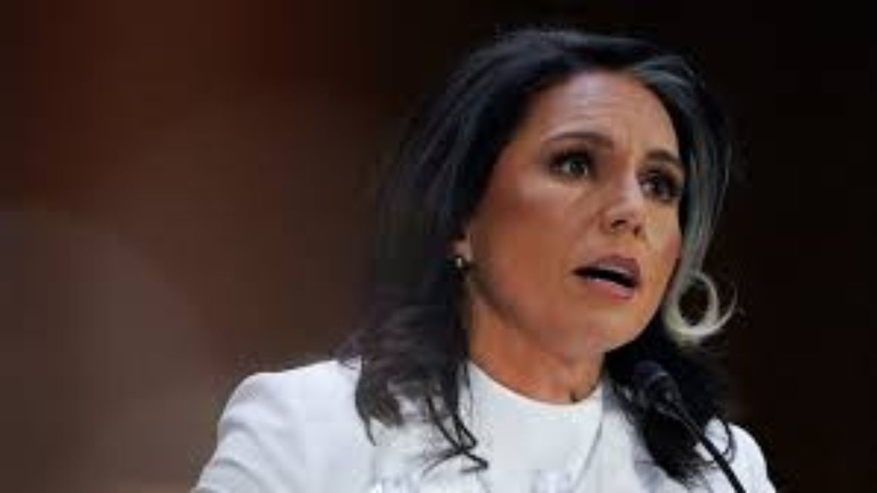 Tulsi Gabbard Says Donald Trump, PM Modi Committed to Defeating Islamist Terrorism