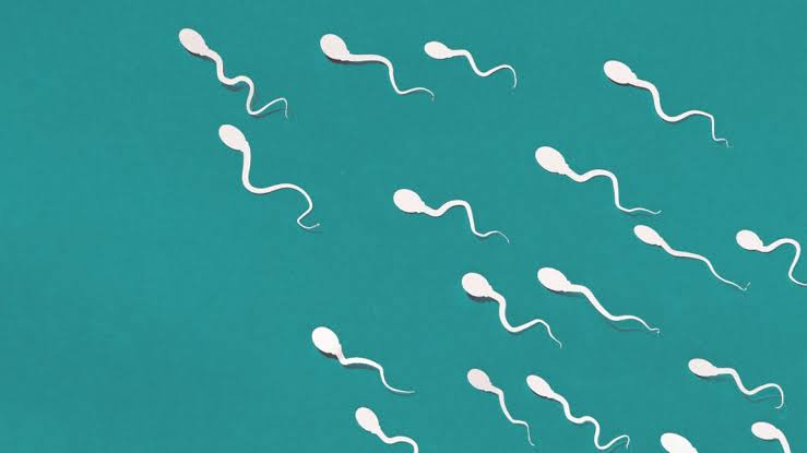Research revealed – 60% of patients decreased sperm motility, 37% decreased sperm count
