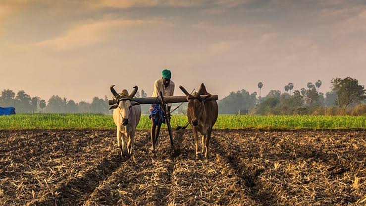 Updates: After the withdrawal of the agriculture law, the government is ready to discuss the MSP law, names have been sought from the United Kisan Morcha