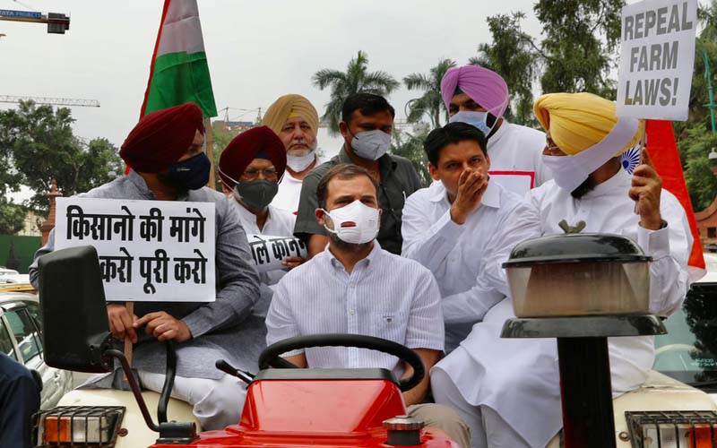 Ignoring China's actions can cause huge problems later: Rahul Gandhi to govt