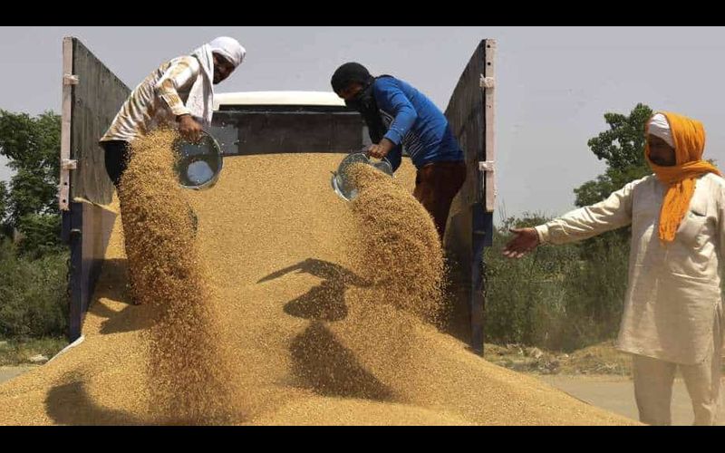 Pressure on India to open Wheat Export
