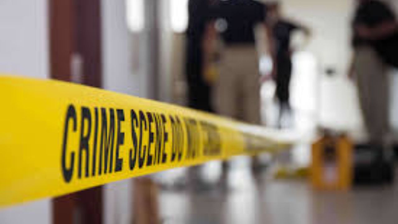 Delhi Teen Kills 15-Year-Old Relative with Glass Shard After Quarrel: Police