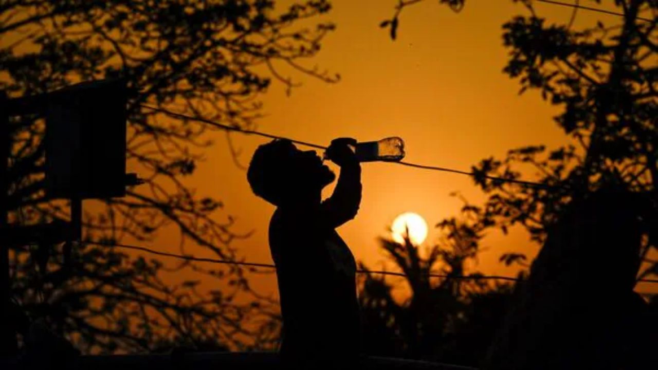 Rajasthan Under Heatwave Red Alert Today; IMD Forecast for Delhi Revealed