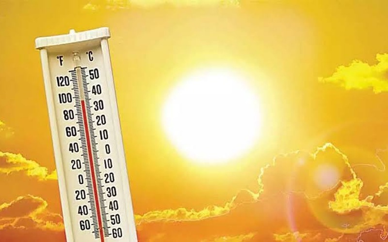 Heat wave is prevailing in many cities including Delhi : Meteorological Department