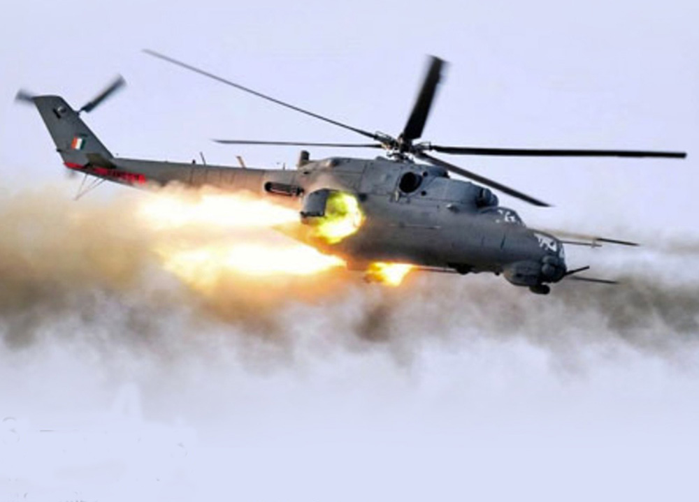 Air Force Day: Call on 95-598-98964 if you spot any carcass, dead animal in Delhi, neighbourhood
