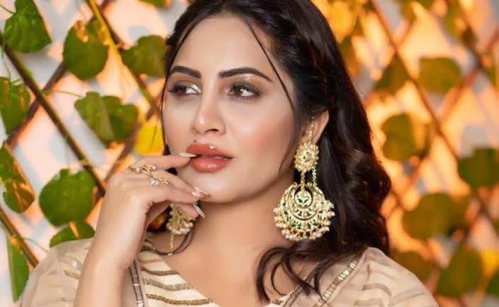 Arshi Khan Trolled For Having Afghanistan Roots, Says 'I Am An Indian Citizen'