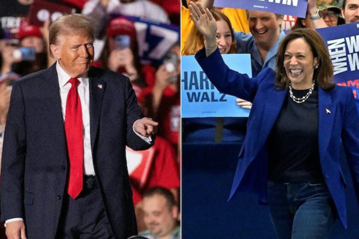 Trump vs Harris: Pollsters Weigh In On Who Holds the Edge in Tight US Election Race