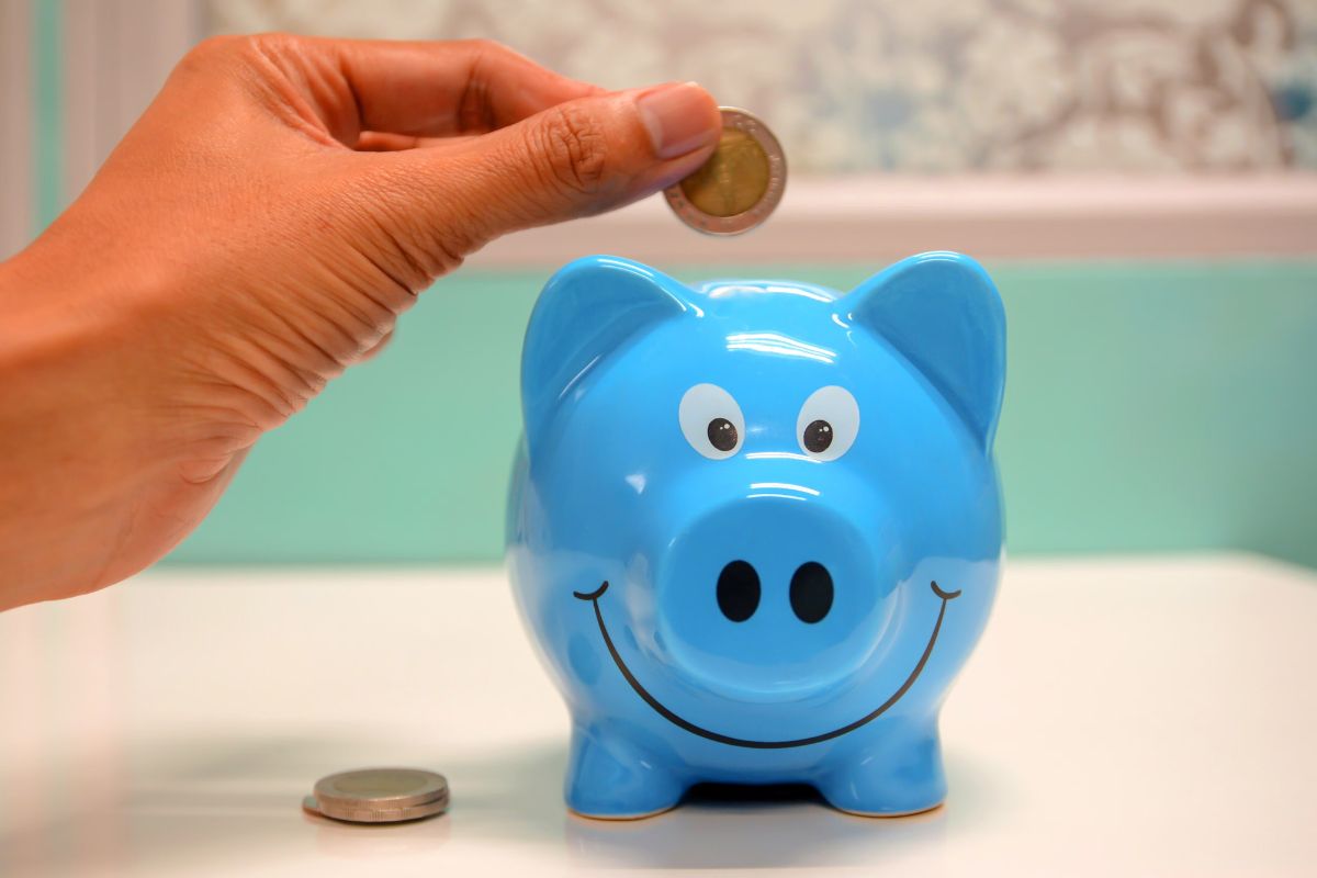 Small Savings Schemes Interest Rates Revealed for July-Sept 2024: PPF, NSC, SCSC, Sukanya Scheme