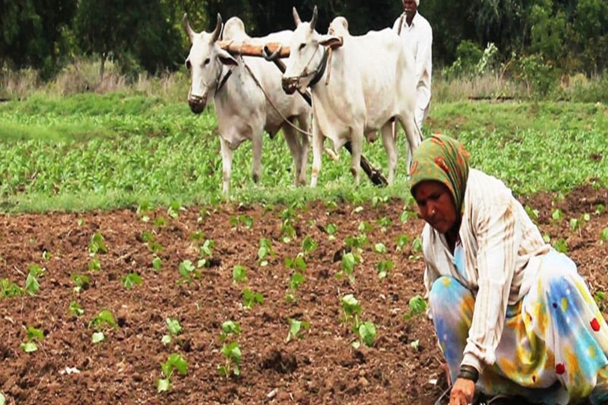 PM-KISAN 17th Installment Today: How to Check Beneficiary Status