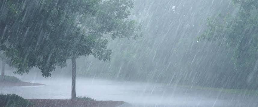 Heavy rains in Tamil Nadu cause 3 deaths, parts of Chennai waterlogged