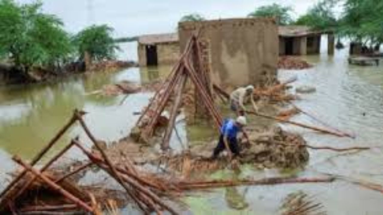 Rain Havoc in Himachal: 468 Roads Blocked, 676 Water Schemes Affected, 1199 Transformers Damaged, Death Toll Reaches 125