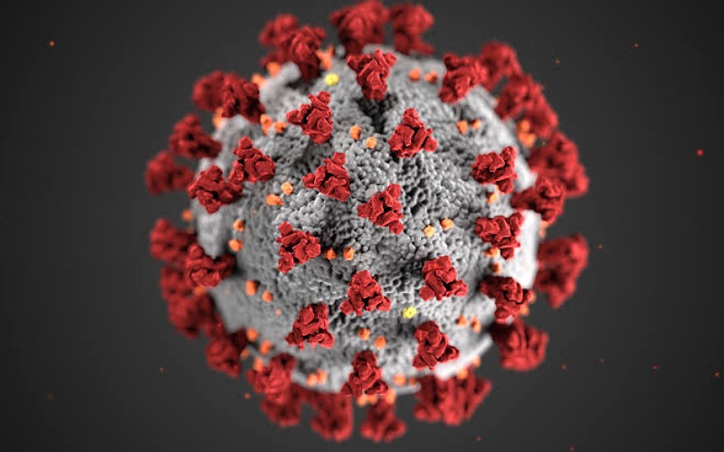 71,365 new cases of corona virus in the last 25 hours