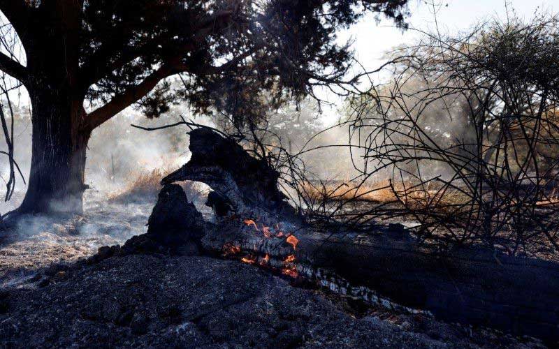 First time since the end of last month's war, Israel-Gaza violence flare up