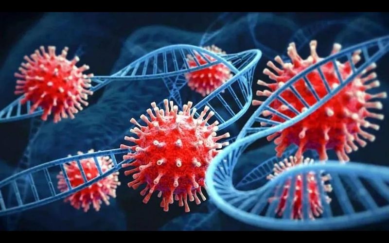 Corona Threat Reemerges: Maharasthta witnessed 7 cases of Omicron sub-variants, 9-year-old child also infected
